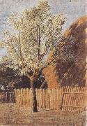 John linnell Study of a Tree oil painting reproduction